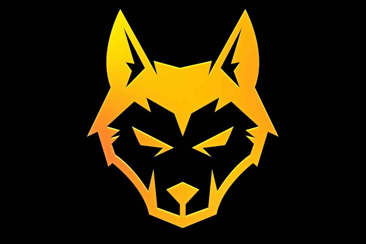 Content Wolf setzt Bilder in Bewegung