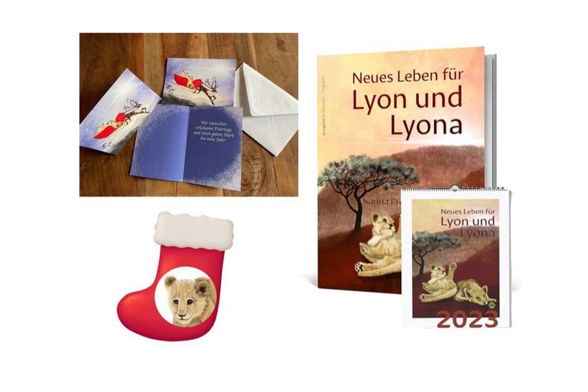 Löwen im Nikolausstiefel