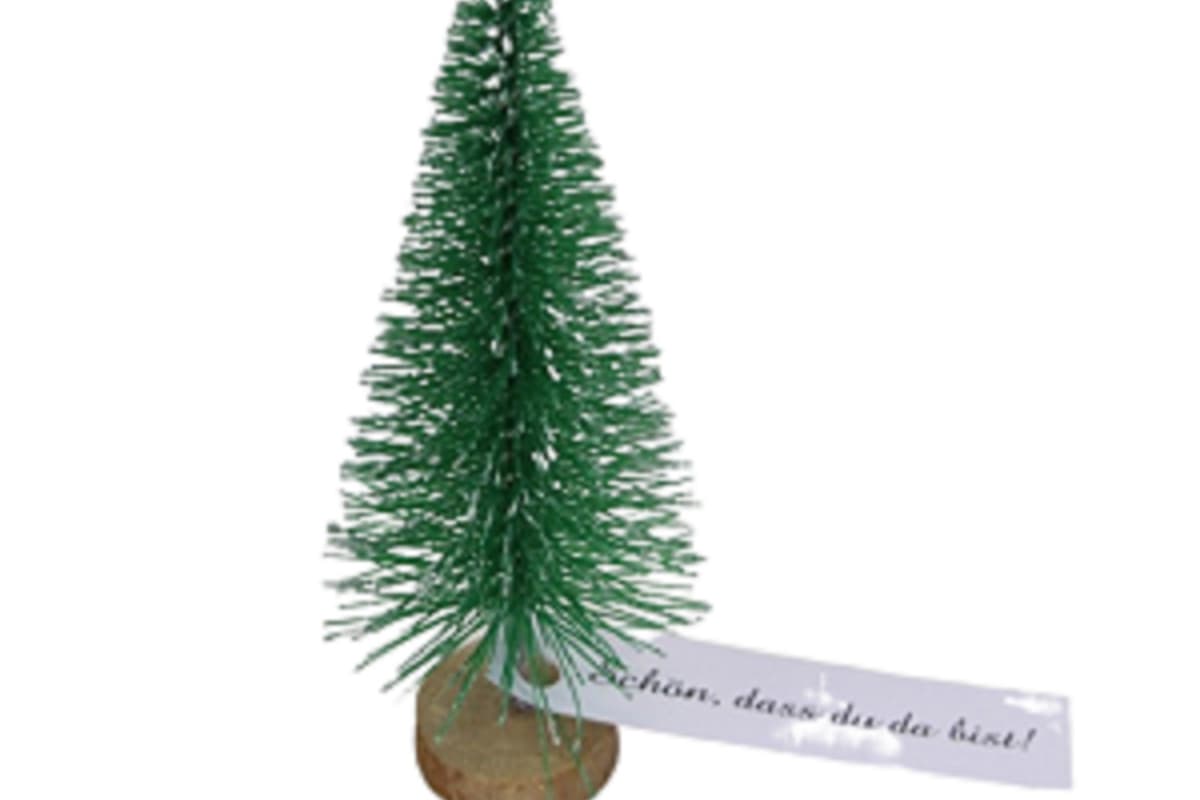 Tannenbäume für eine schöne Deko in der Winterzeit