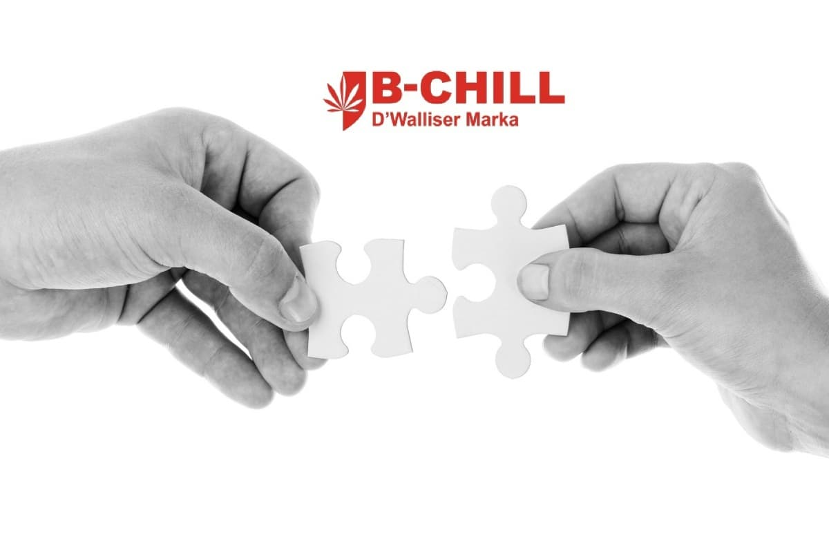 Partnerschaft zwischen CBD Discounter und B-Chill