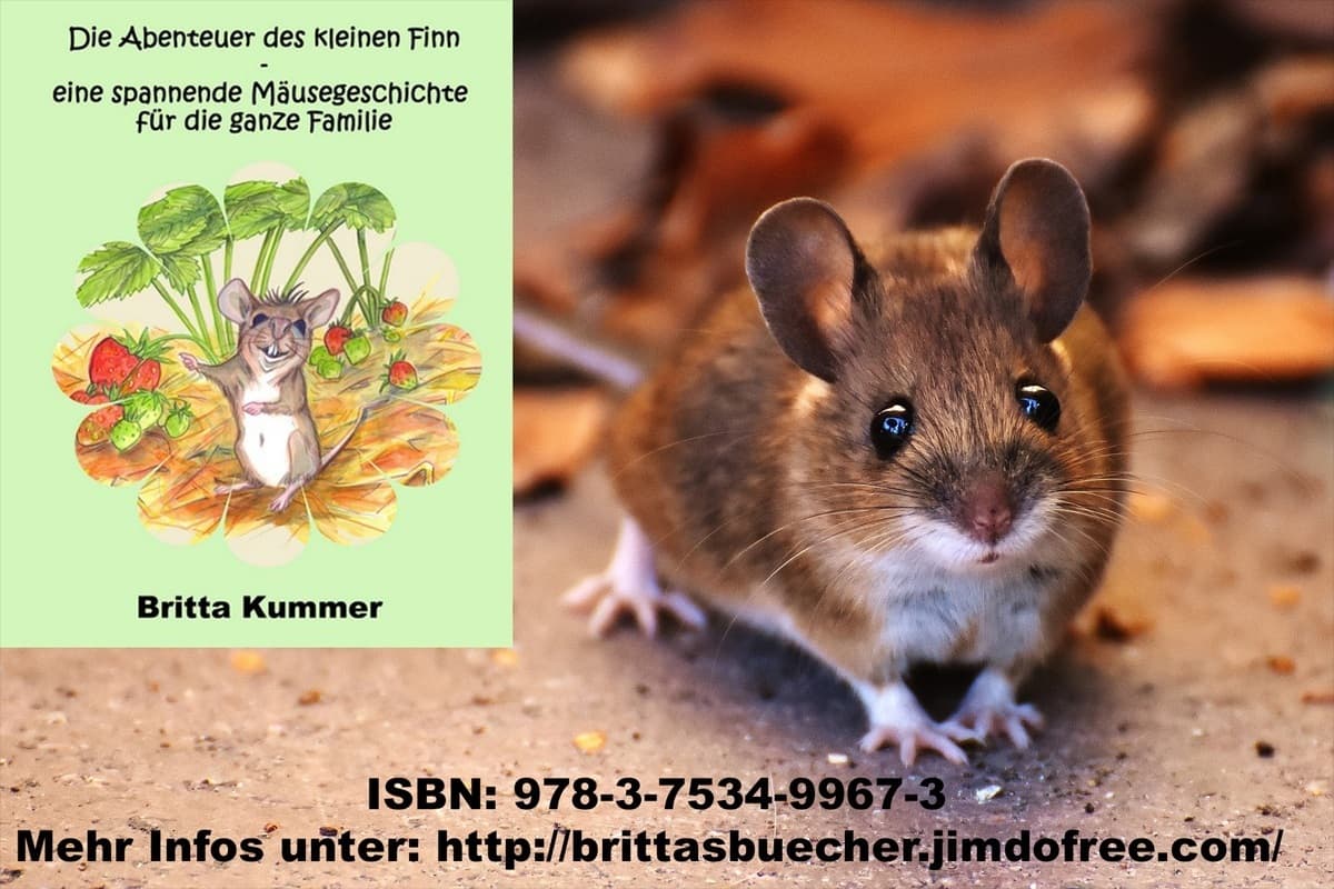 Mäuserich Finn bringt Spaß und Abenteuer ins Kinderzimmer