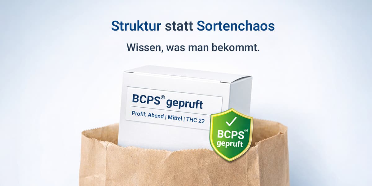 Berliner Profil-System soll Struktur in die medizinische Cannabisversorgung bringen